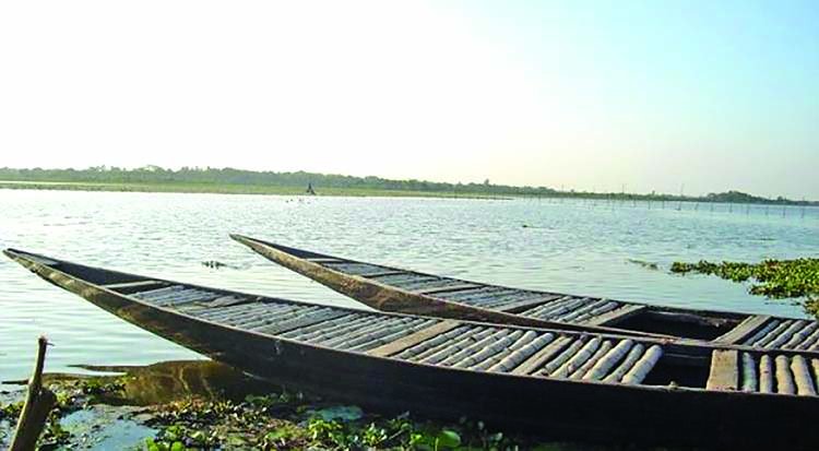 Purakhali Baor in Jessore