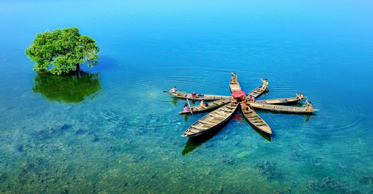 Tanguar Haor: Dreamlike aquatic serenity